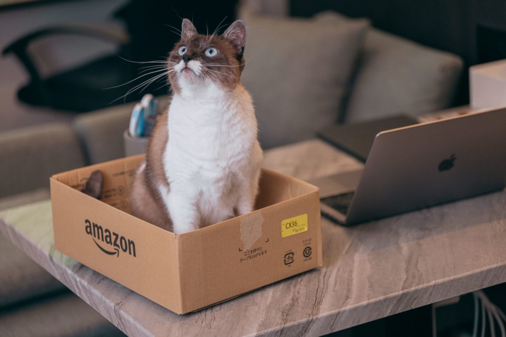 Amazonで配送状況が「本日到着予定」となっているのに届かない？
