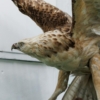 Thumbnail of related posts 082