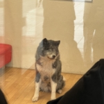 Thumbnail of post image 013