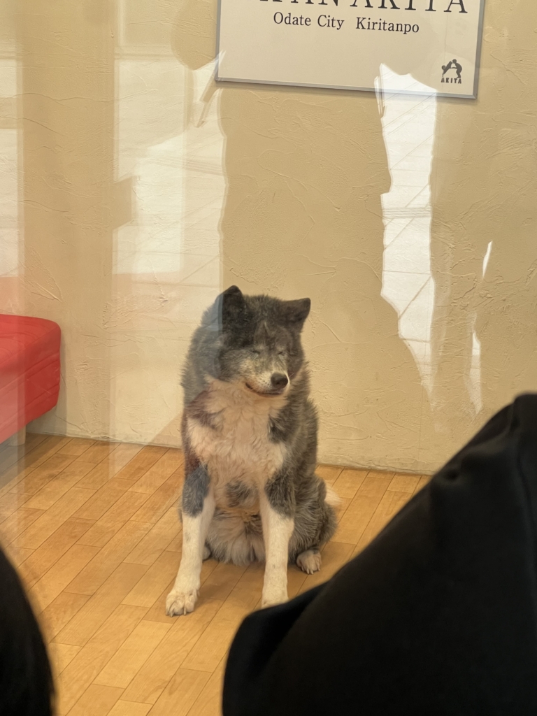 秋田と岩手に一泊二日で一人旅に行ってきた感想~Part2~